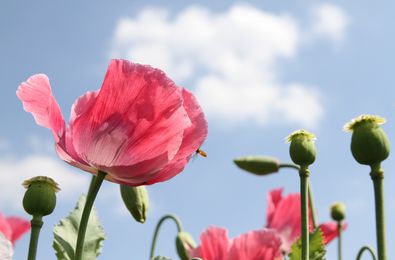 30 Messages to Help You Get Well Soon