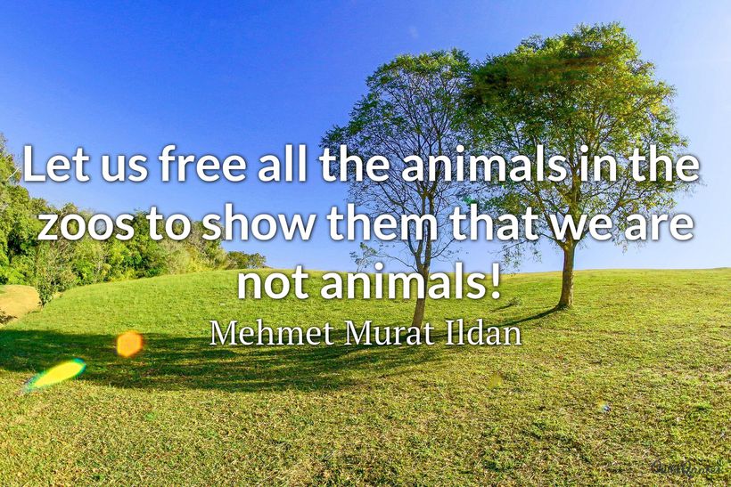25 Zoo Quotes to Blow Your Mind