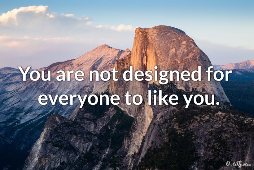 30 Not Everyone Will Like You Quotes