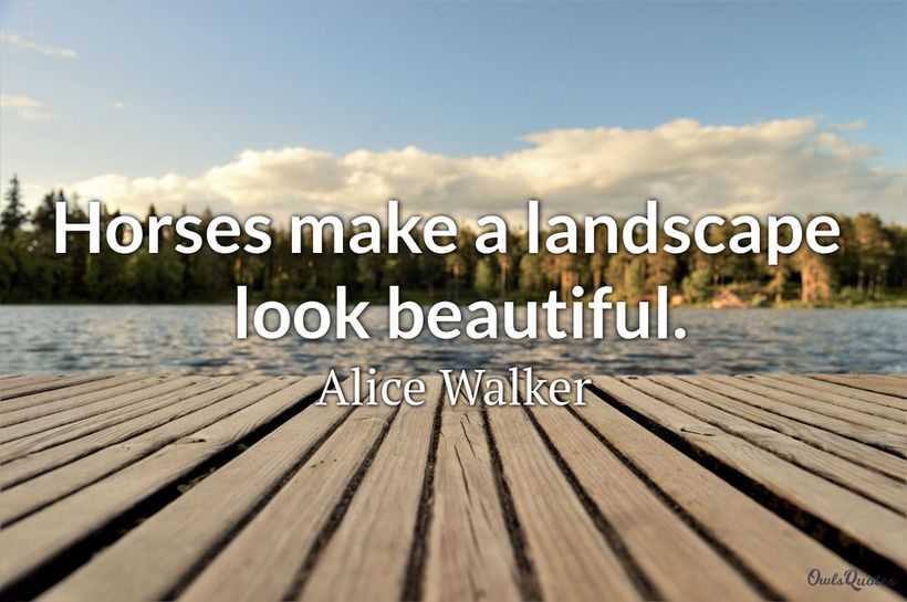 30 Inspirational Landscape Quotes 30 Inspirational Landscape Quotes