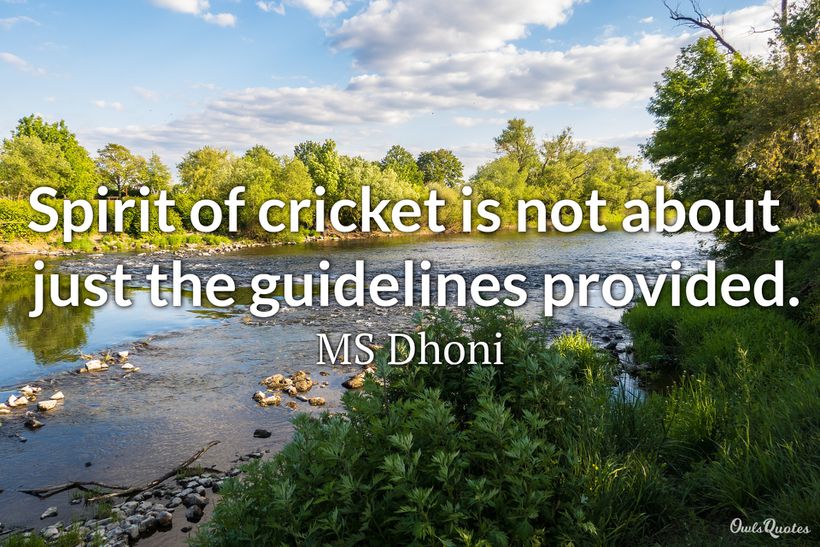 20 Inspirational Cricket Quotes