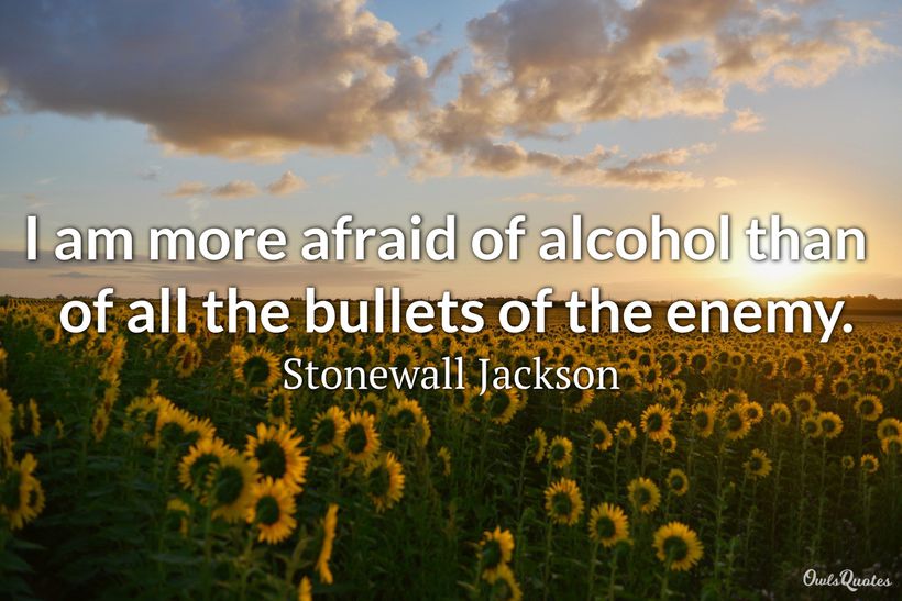 30 Alcohol Quotes That Will Inspire You Abstain from It