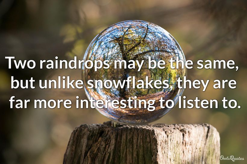 30 Funny Rain Quotes