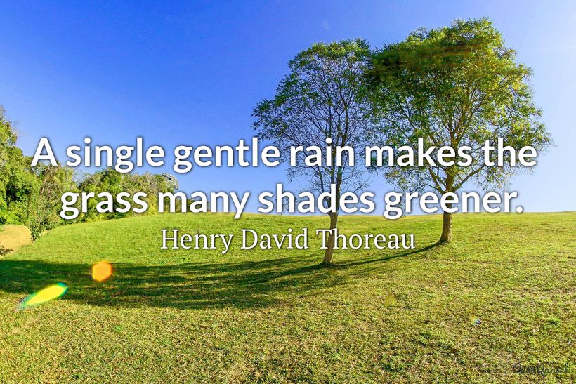 25 Raindrops Quotes