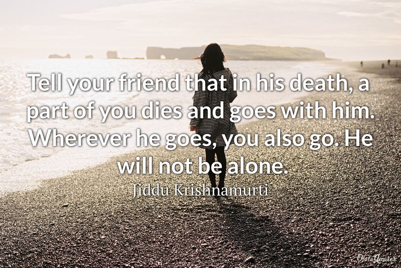 25 Calming Losing A Friend Quotes 