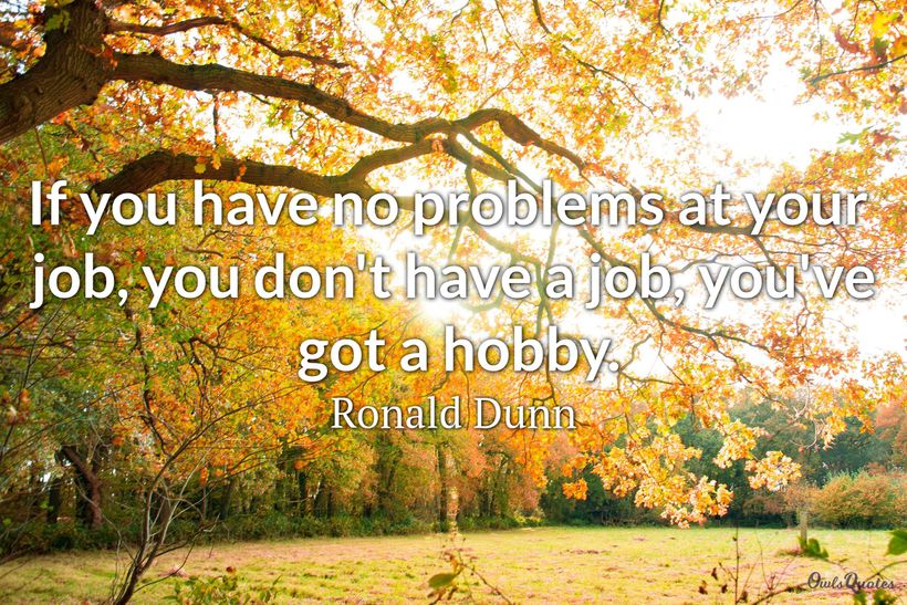 29 hobby quotes