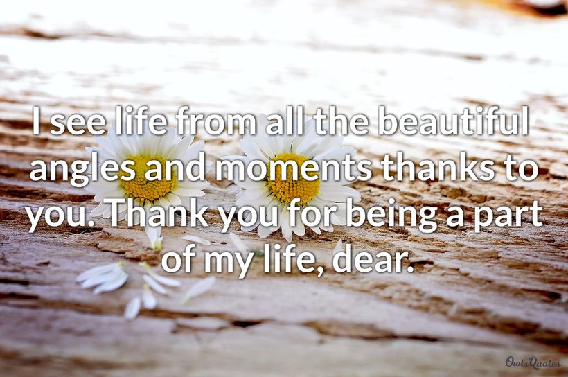 20 Thank You For Being Part Of My Life Quotes