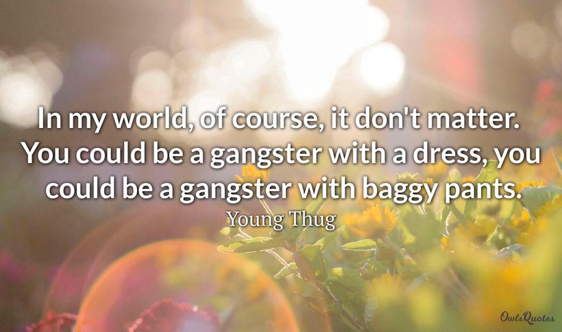 30 Gang Quotes and Sayings