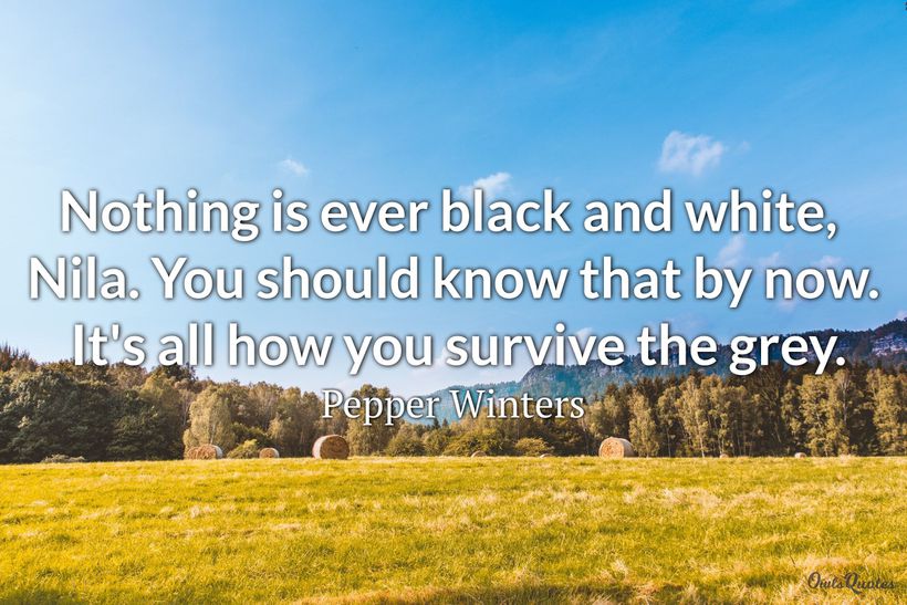 30 Shades of Grey Quotes