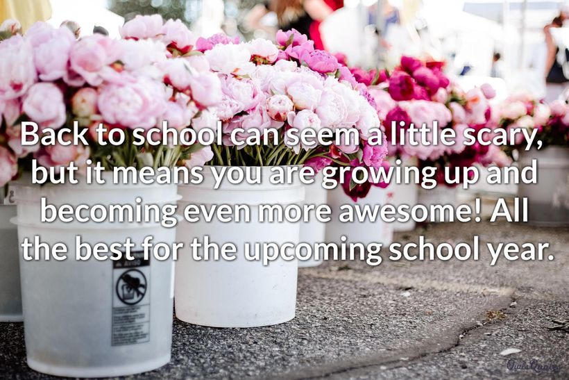 30-best-wishes-for-a-new-school-year-to-inspire-you