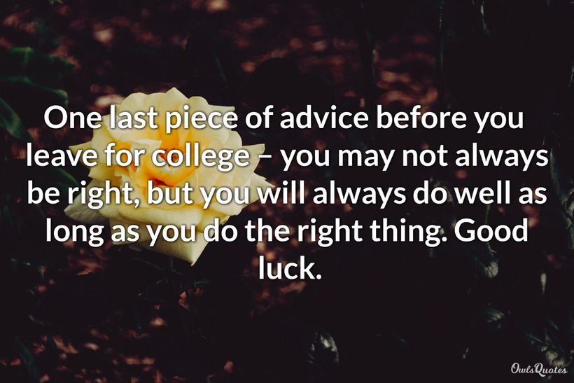 30-good-luck-messages-for-college-and-university-starting-students