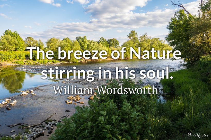 30 Relatable Sayings and Quotes on Breeze