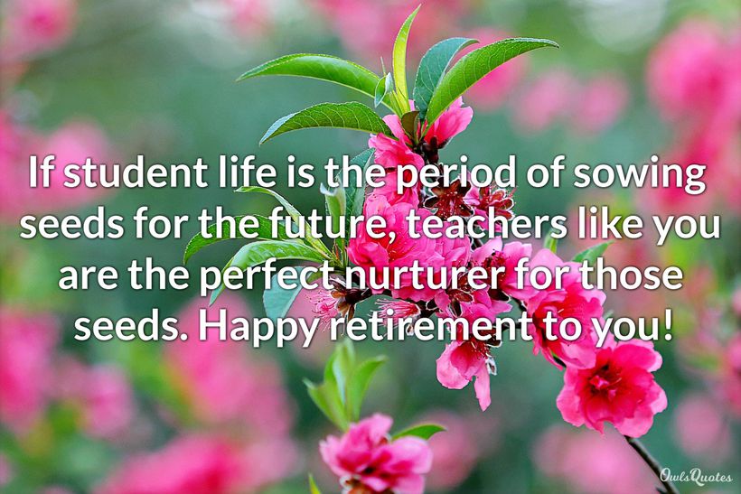 30 Best Quotes For Teacher Retirement To Commemorate The Special Occa