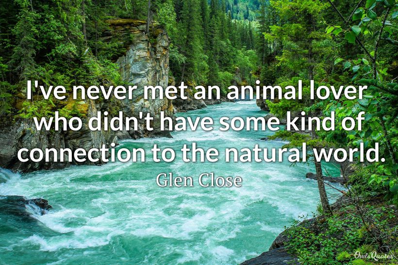18 Animal Love Quotes