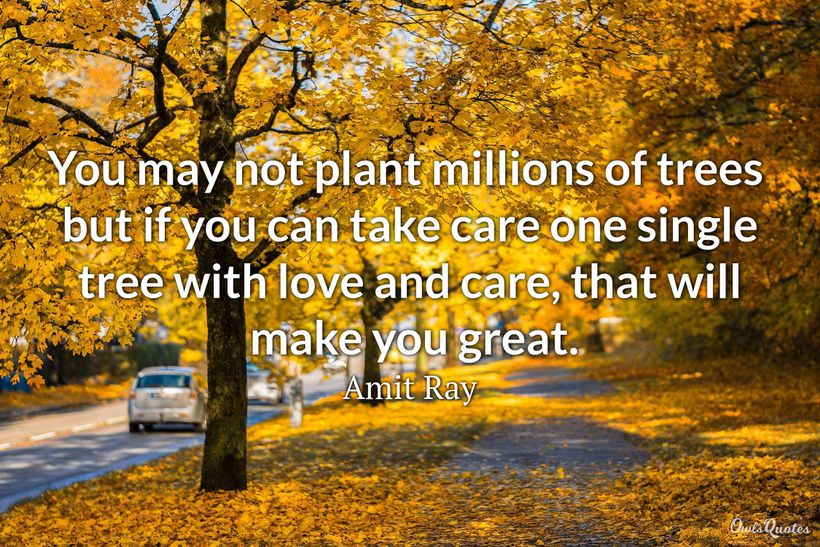 30 Tree Plantation Quotes to Inspire the Environmentalist in You