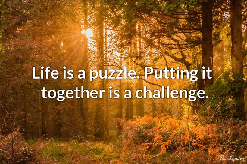 25 Amusing Puzzle Quotes to See the Bigger Picture in Life