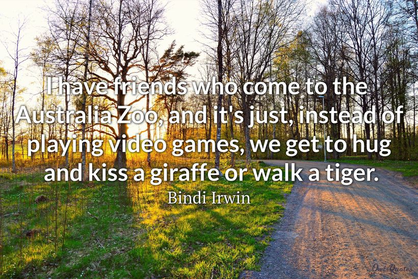 30 Giraffe Quotes and Sayings