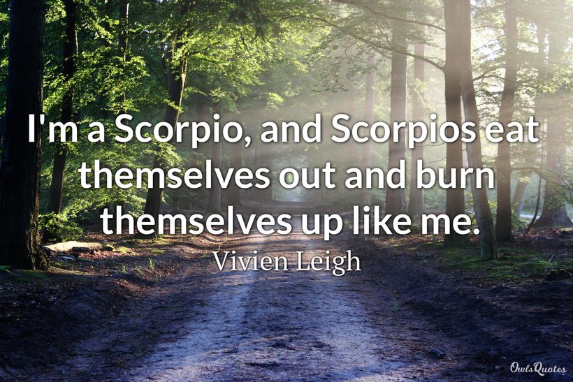 30 Quotes and Sayings About Scorpios