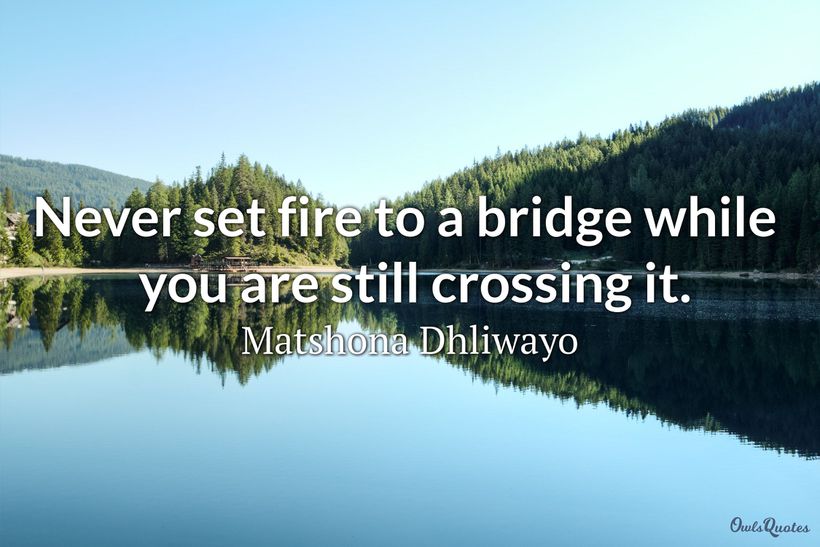 30 Bridge Quotes