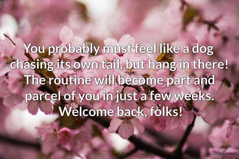 21 Back from Vacation Messages