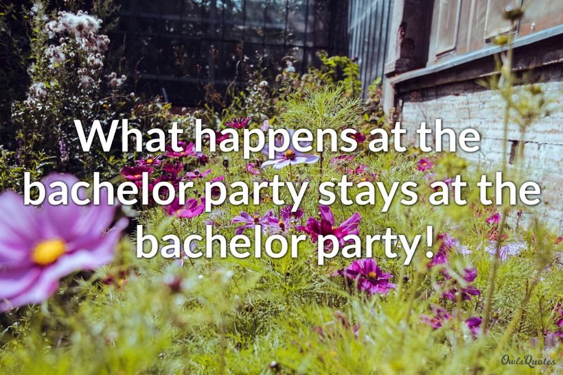 25-exciting-bachelor-party-quotes-to-get-you-in-the-party-mood