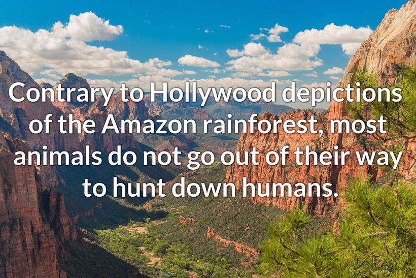 20 Save Amazon Rainforest Quotes
