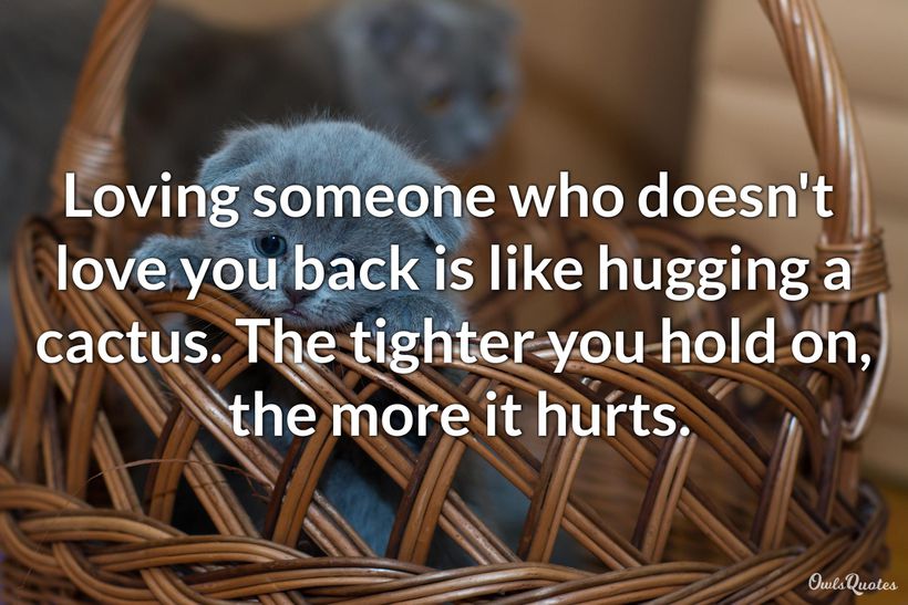 30 Loving Someone Who Doesn't Love You Back Quotes