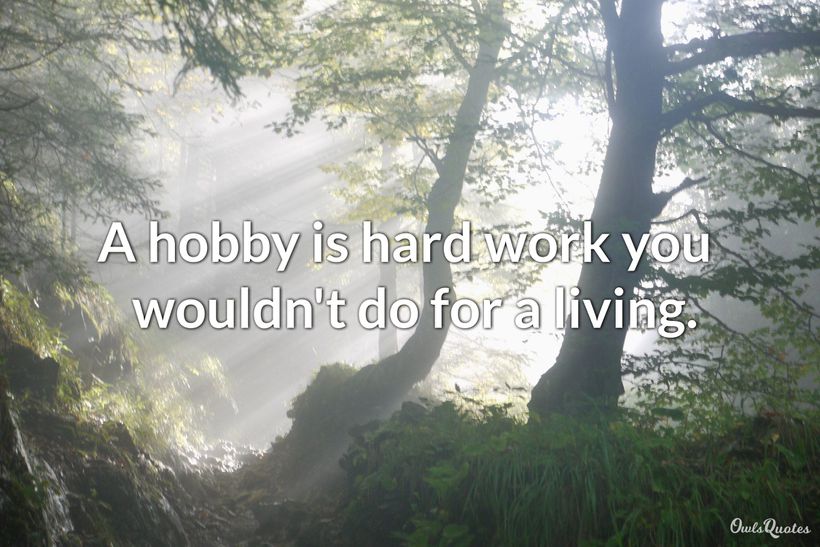 29 Hobby Quotes