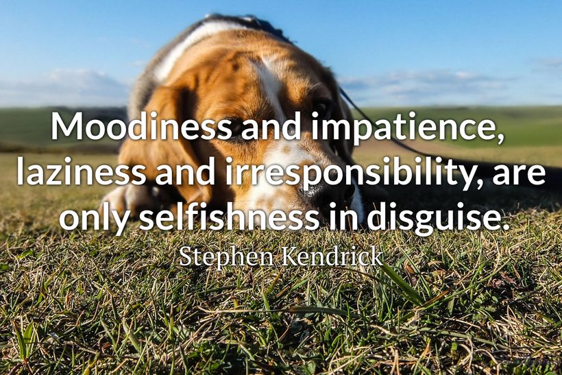 30 Moody Quotes and Sayings