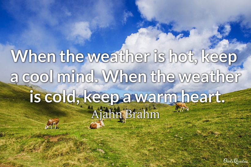 20-humorous-hot-weather-quotes