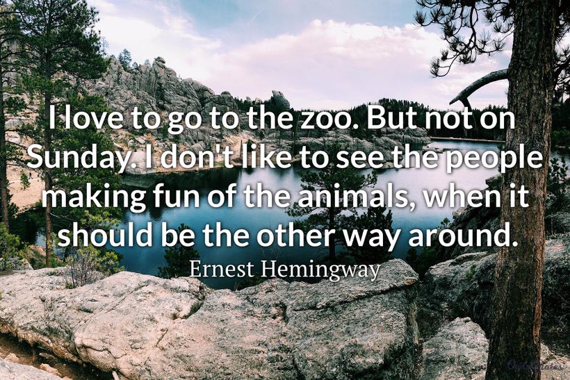 Famous Zoo Quotes at Sergio Herrera blog