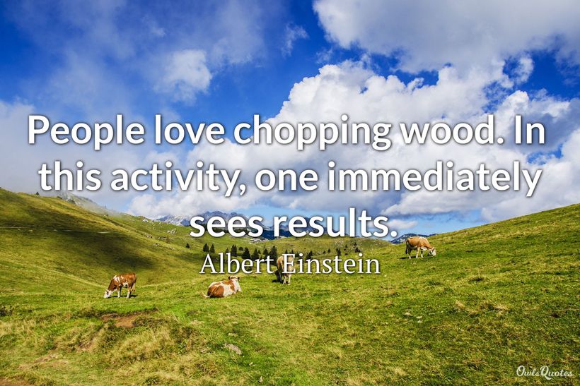 25 Best Wood Quotes