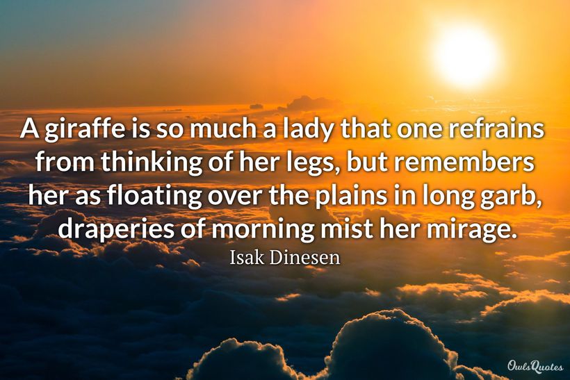 30 Giraffe Quotes and Sayings