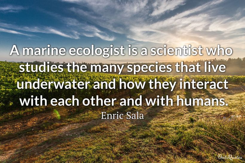 26 Good Underwater Quotes