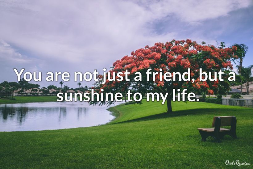 30 My Sunshine Quotes