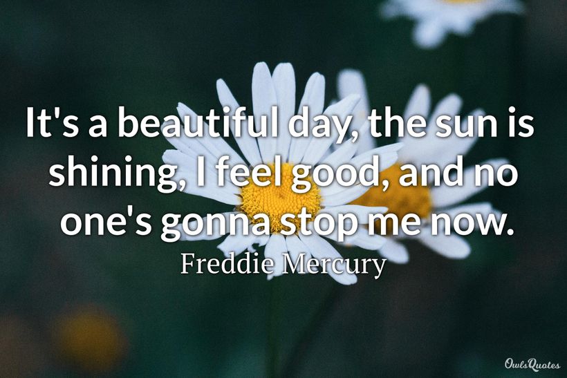 30-beautiful-day-quotes