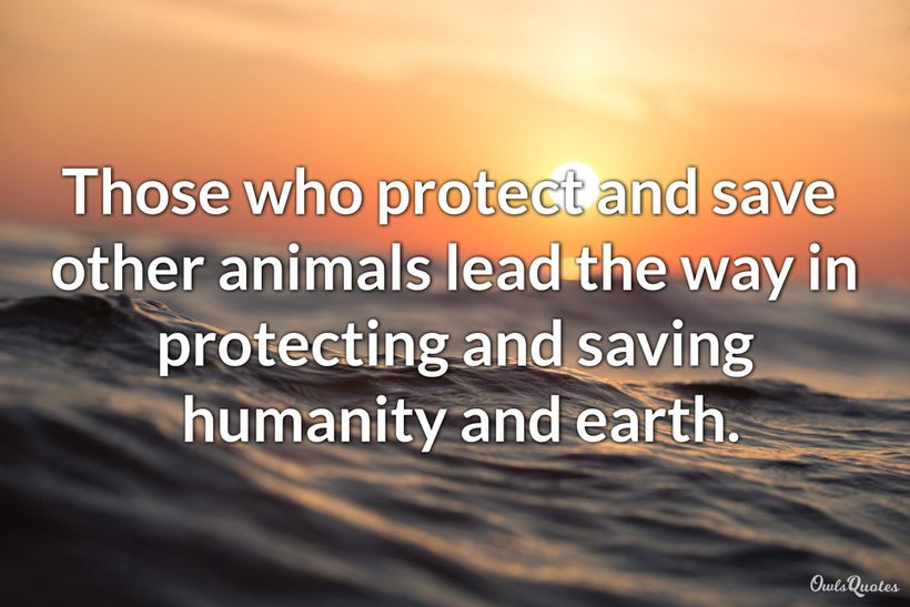 30 Inspirational Quotes About Saving Animals