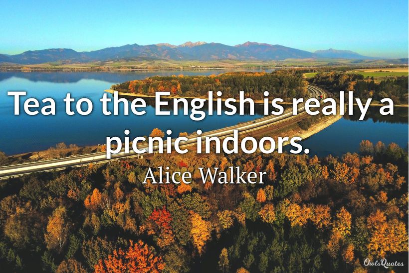 25 Picnic Quotes to Enjoy Your Life