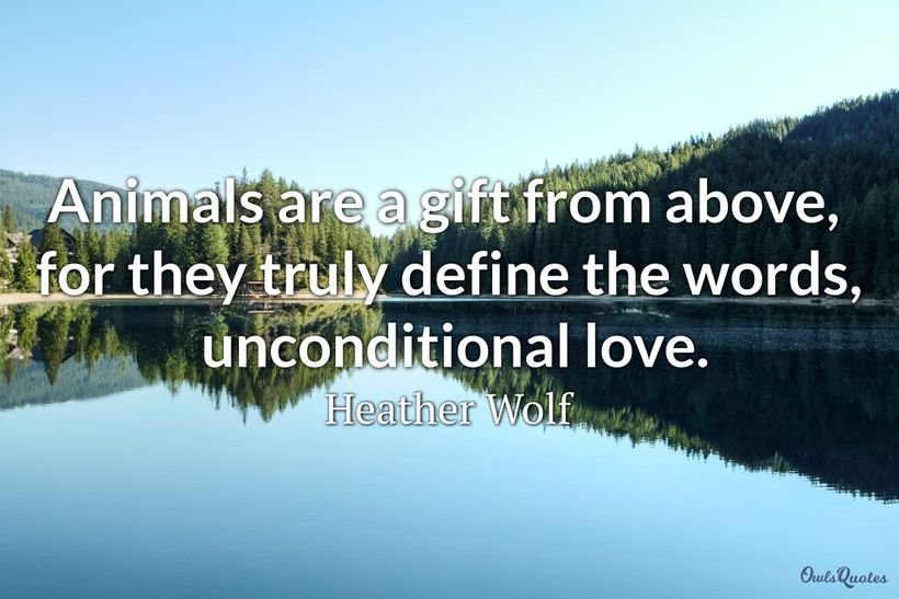 18 Animal Love Quotes