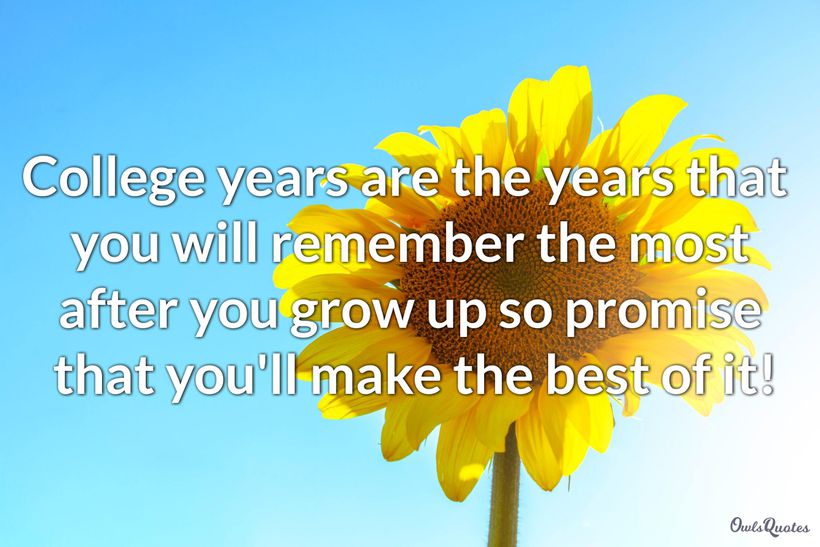 30 Good Luck Messages for College and University Starting Students