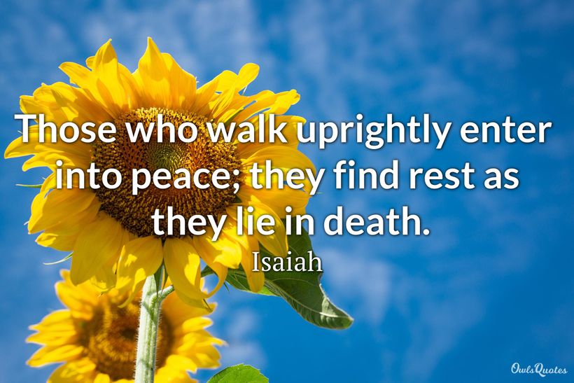 30 Heartfelt Rest in Peace Quotes and Sayings