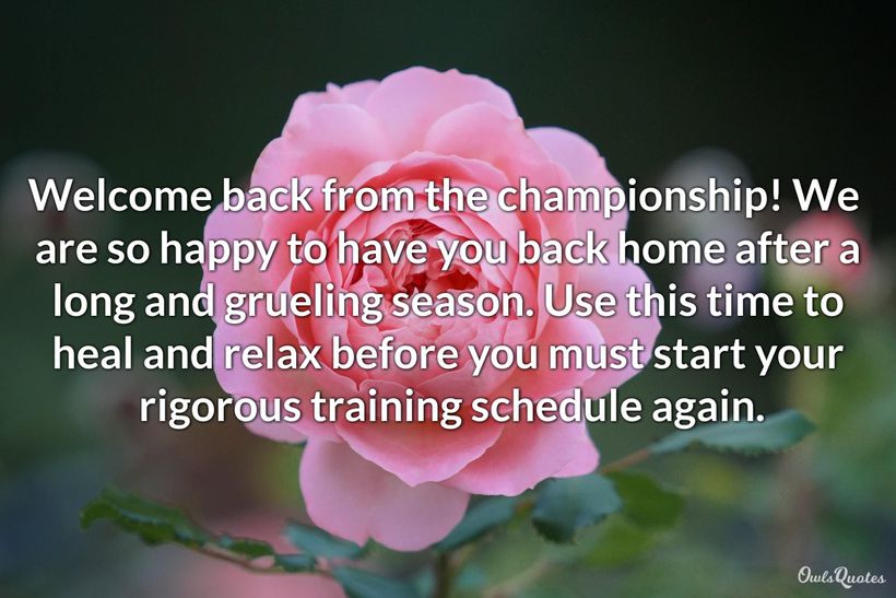 Top 30 Back Quotes