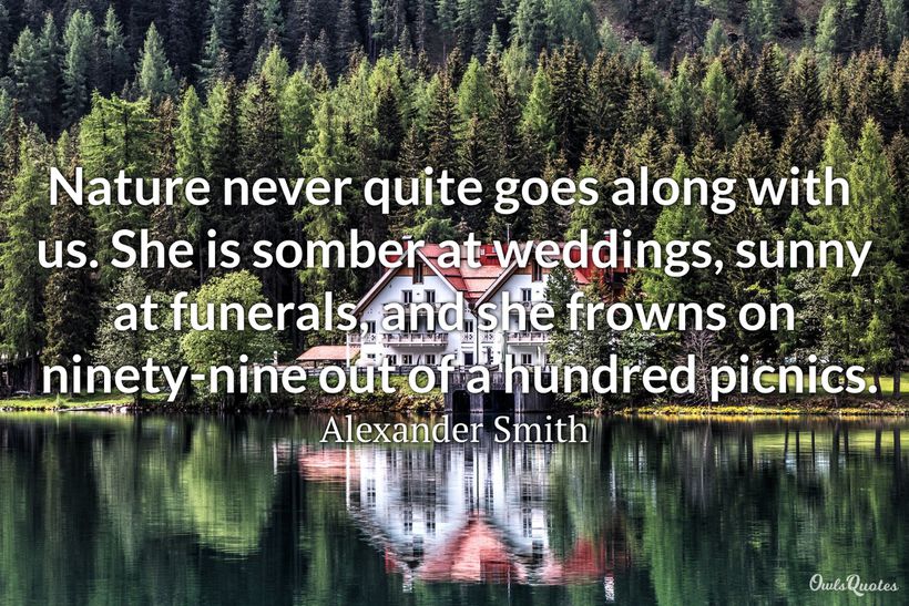 25 Picnic Quotes to Enjoy Your Life