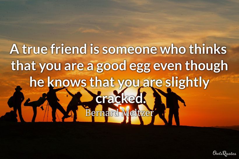 20 Male Best Friend Quotes