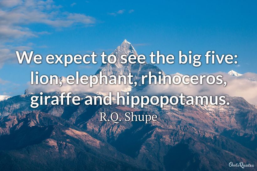 30 Giraffe Quotes and Sayings