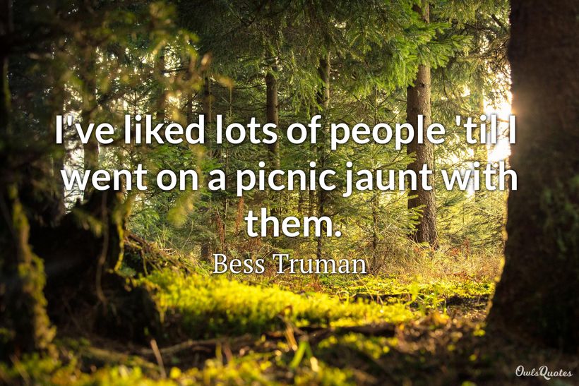 25 Picnic Quotes to Enjoy Your Life