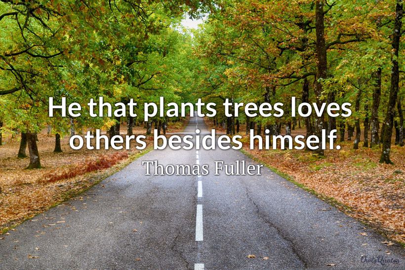 30 Tree Plantation Quotes to Inspire the Environmentalist in You