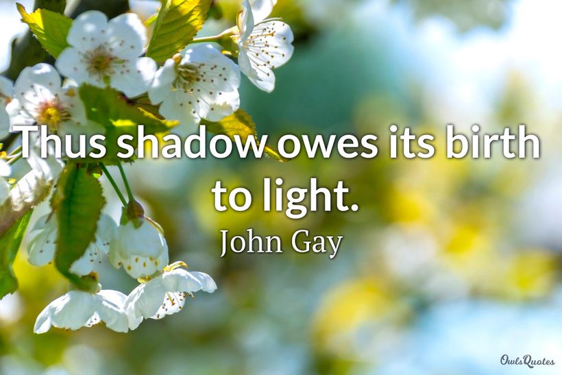 28 Light and Shadow Quotes
