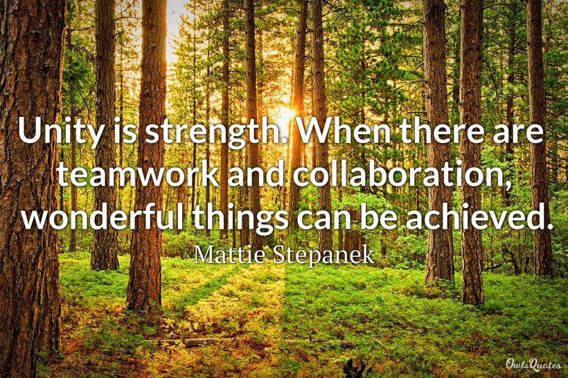 25 Teamwork Quotes to Strengthen Your Team