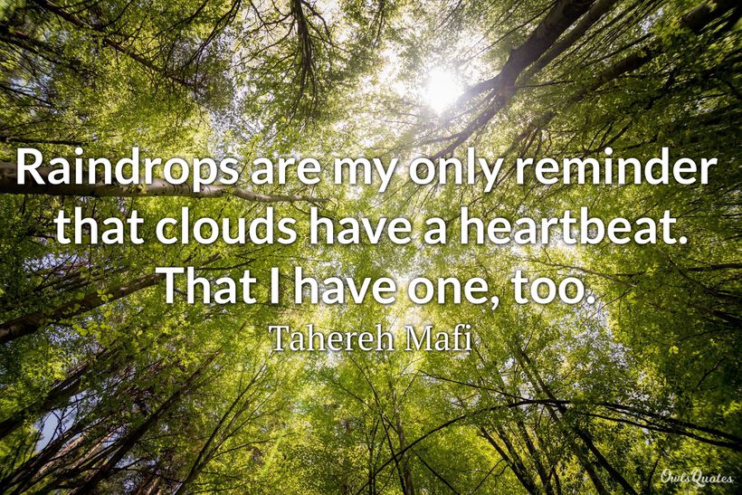 25-raindrops-quotes